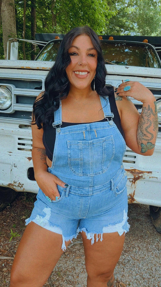 Taylor Distressed Shot Overall