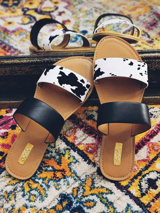 . Color Black Cow print. . Cute Strappy sandal features cow print designs . Is normal fit wear your true size . Will definitely be a concert shoe favorite. . Felicia is wearing a size 8 her true size.